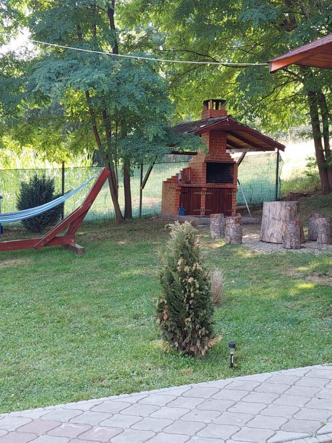 Pensiunea Sonia Cîrţişoara Exteriér fotografie
