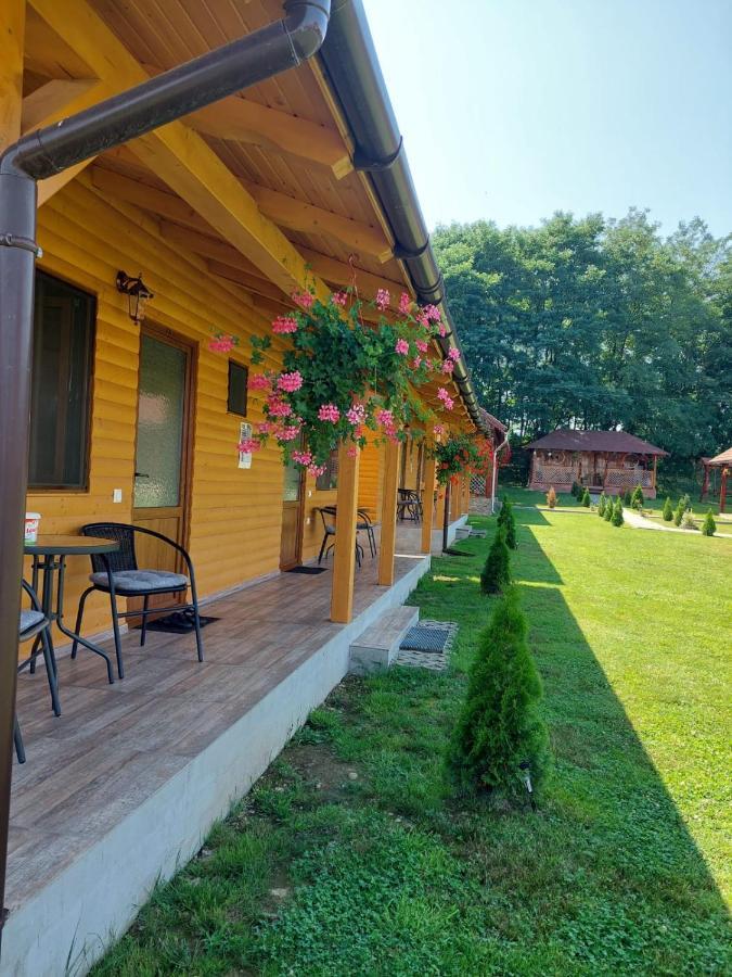 Pensiunea Sonia Cîrţişoara Exteriér fotografie