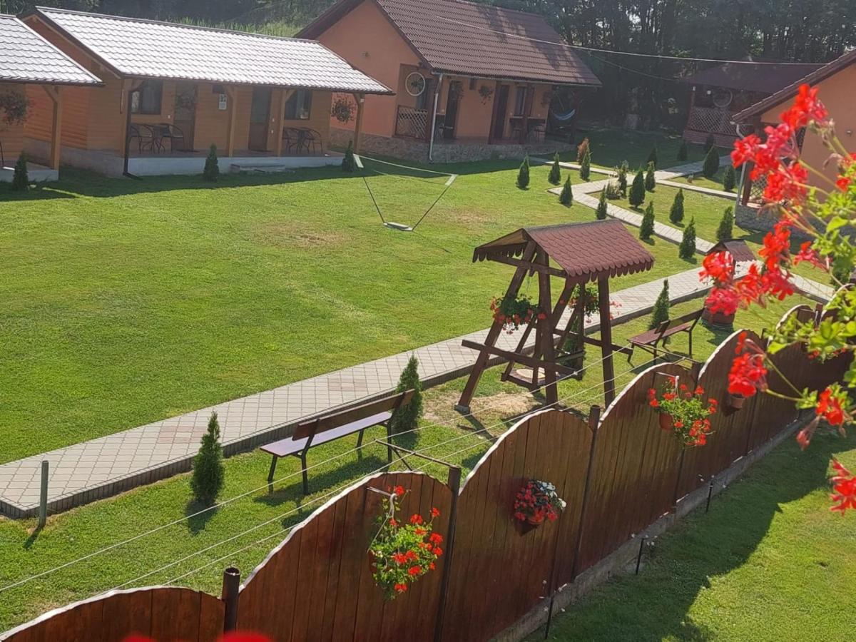 Pensiunea Sonia Cîrţişoara Exteriér fotografie