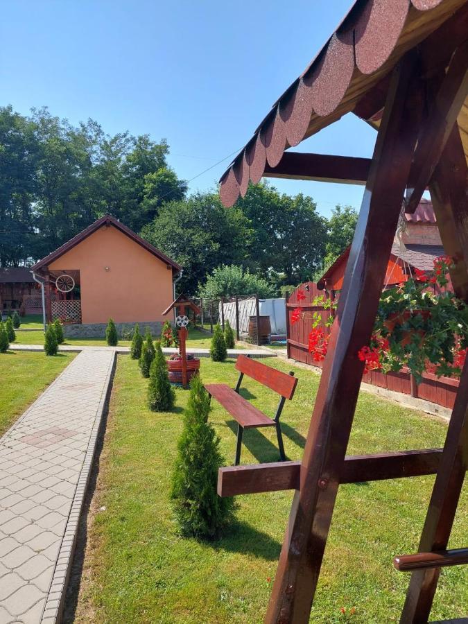 Pensiunea Sonia Cîrţişoara Exteriér fotografie