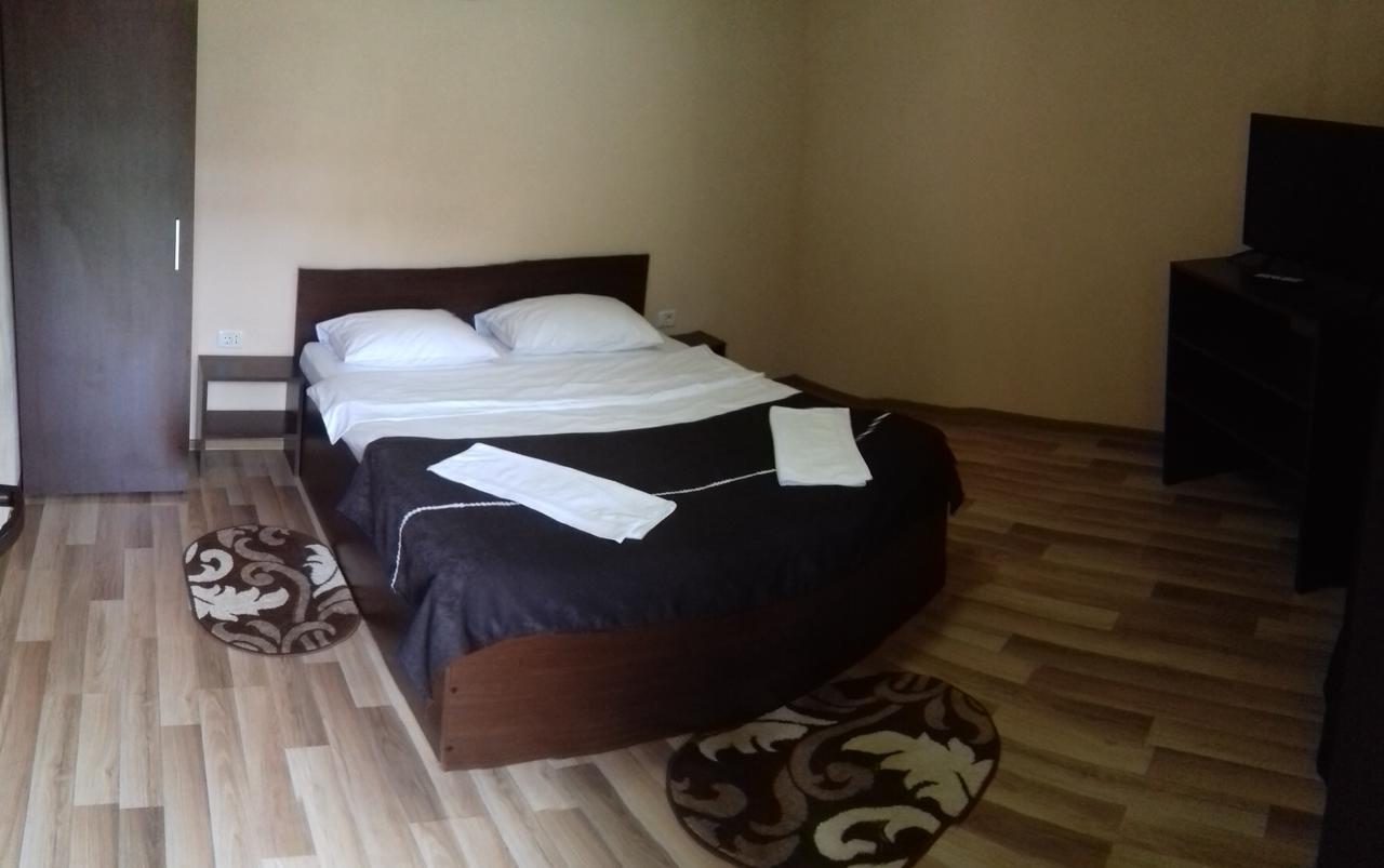 Pensiunea Sonia Cîrţişoara Exteriér fotografie